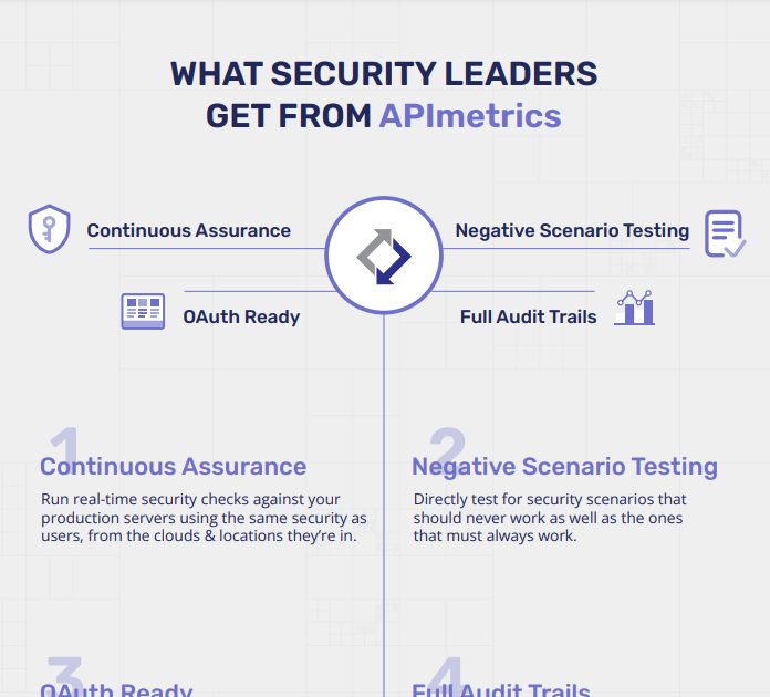 Download the What Security Leaders Expect From APImetrics infographic (PDF)